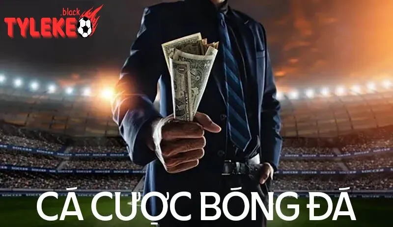 Lưu Ý Quan Trọng Khi Tham Gia Cá Cược