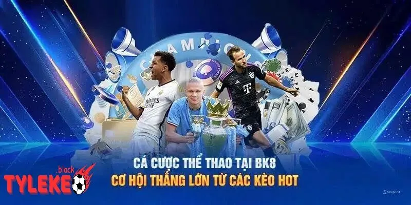 Nhà Cái bk8 và Trải Nghiệm Cá Cược Thể Thao